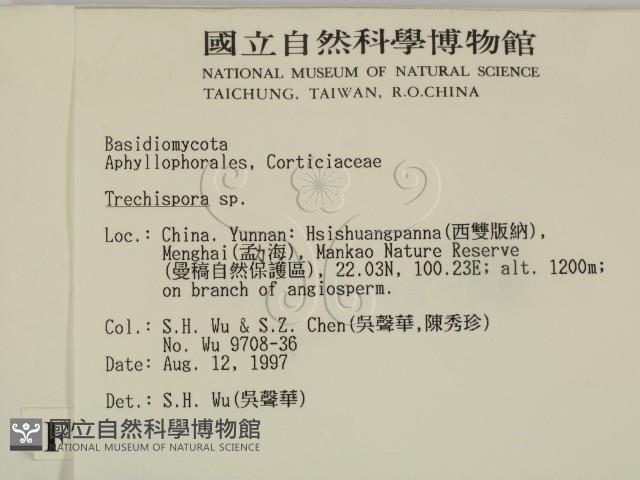 登錄號:F0007765藏品圖，第2張
