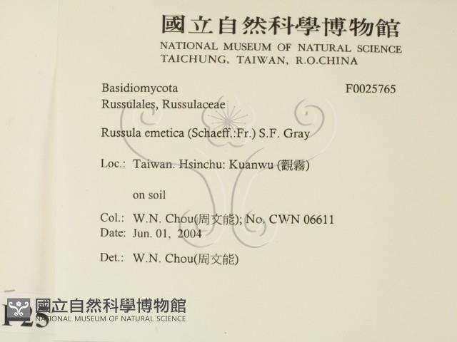 登錄號:F0025765藏品圖，第2張