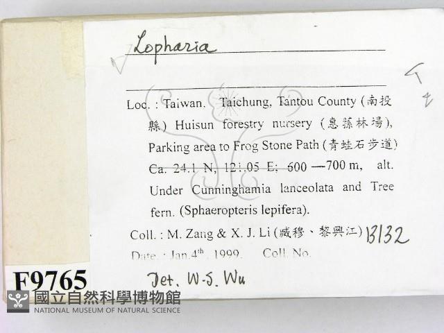 登錄號:F0009765藏品圖，第2張