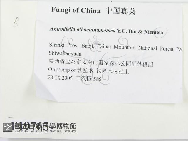 登錄號:F0019765藏品圖，第2張
