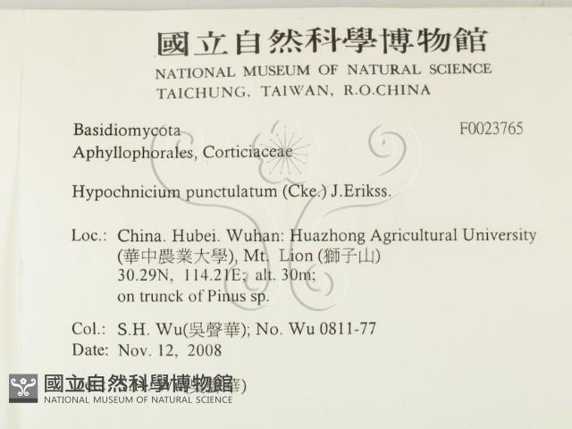 登錄號:F0023765藏品圖，第2張