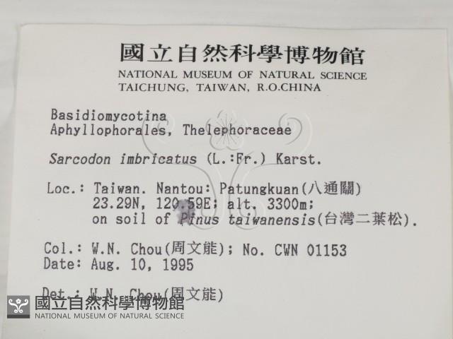 登錄號:F0003765藏品圖，第2張