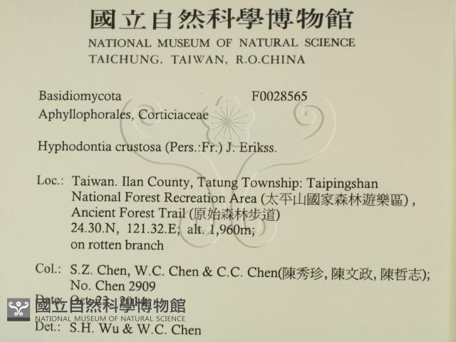 登錄號:F0028565藏品圖，第2張