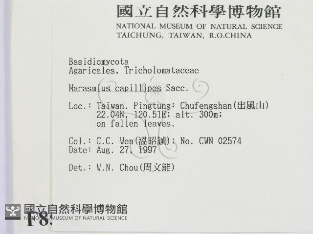 登錄號:F0008565藏品圖，第2張