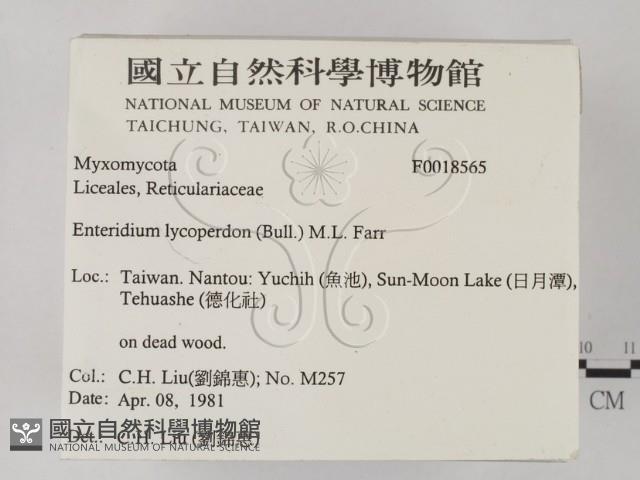 登錄號:F0018565藏品圖，第2張