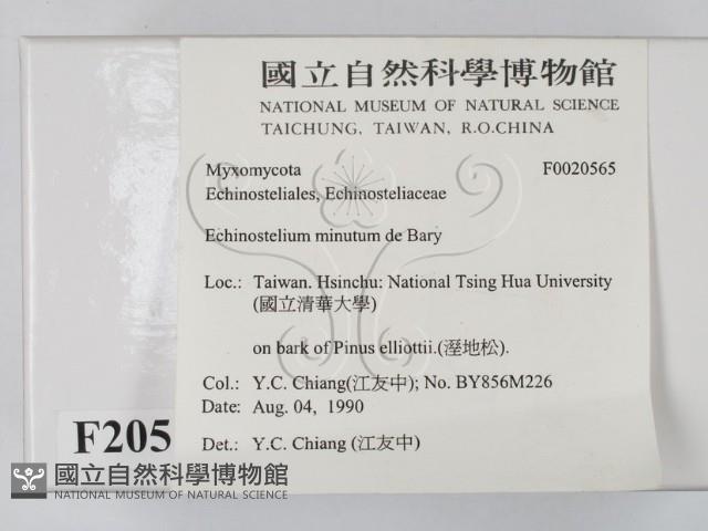 登錄號:F0020565藏品圖，第2張