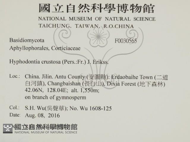 登錄號:F0030565藏品圖，第2張