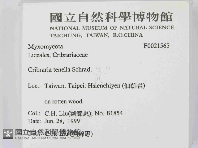 登錄號:F0021565藏品圖，第2張