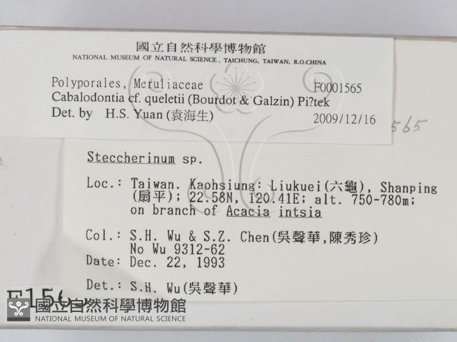 登錄號:F0001565藏品圖，第2張