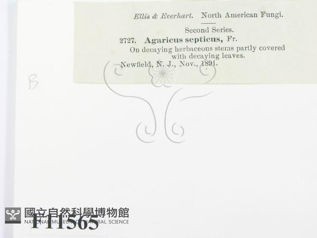 登錄號:F0011565藏品圖，第2張