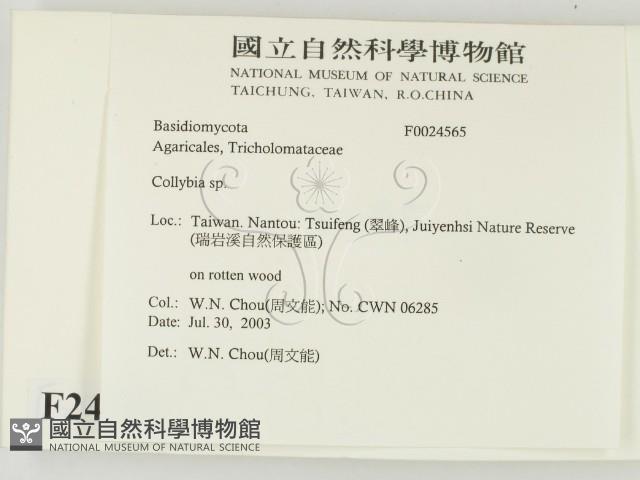 登錄號:F0024565藏品圖，第2張