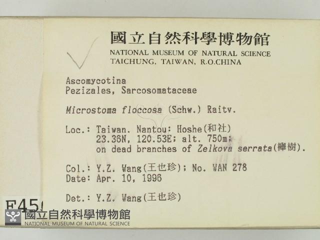 登錄號:F0004565藏品圖，第2張