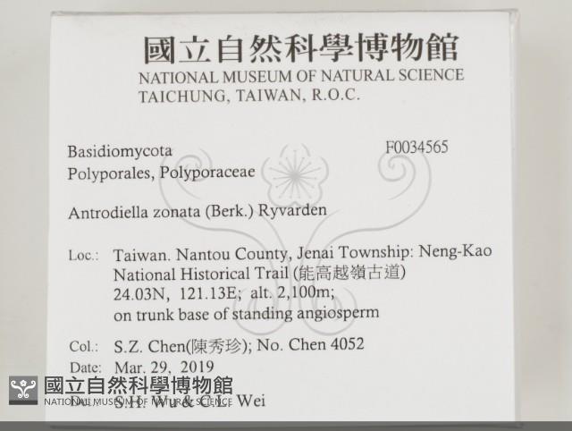 登錄號:F0034565藏品圖，第2張