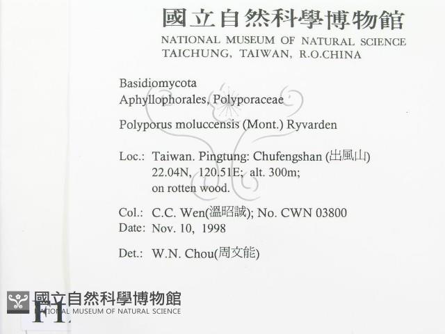 登錄號:F0012565藏品圖，第2張