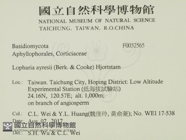 登錄號:F0032565藏品圖，第2張