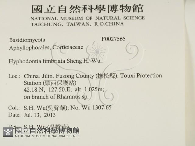 登錄號:F0027565藏品圖，第2張