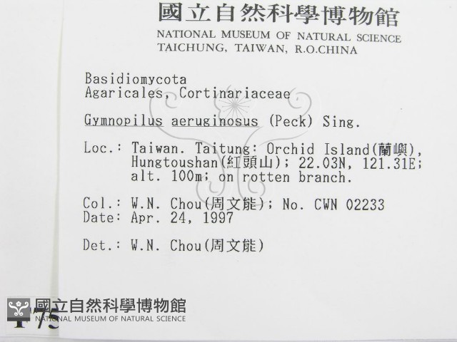 登錄號:F0007565藏品圖，第2張