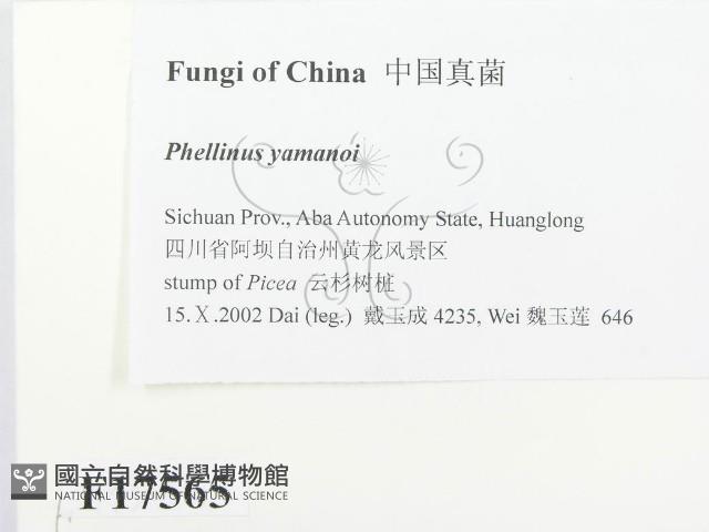 登錄號:F0017565藏品圖，第2張