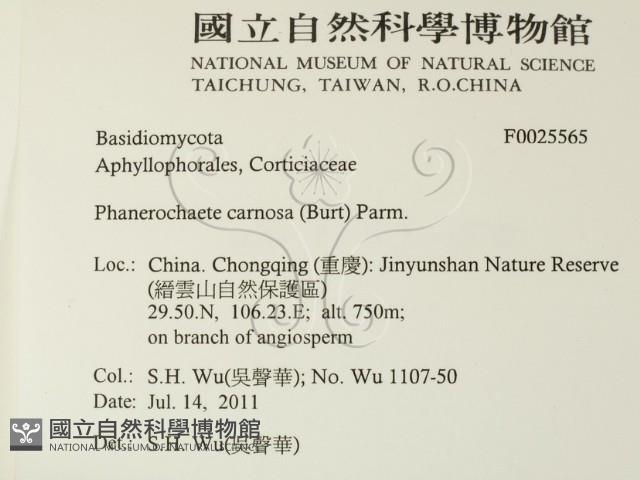 登錄號:F0025565藏品圖，第2張