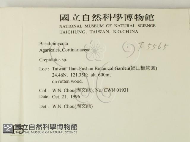 Accession Number:F0005565 Collection Image, Figure 2, Total 3 Figures