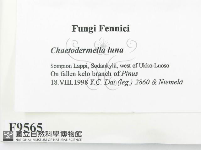 登錄號:F0009565藏品圖，第2張