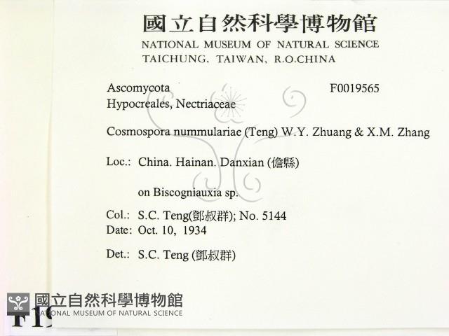 登錄號:F0019565藏品圖，第2張