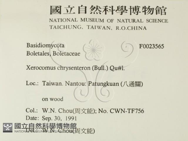 登錄號:F0023565藏品圖，第2張