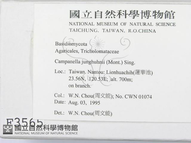 登錄號:F0003565藏品圖，第2張