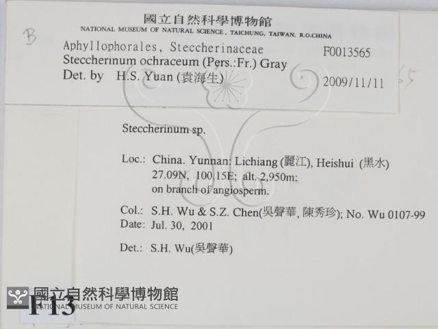 登錄號:F0013565藏品圖，第2張