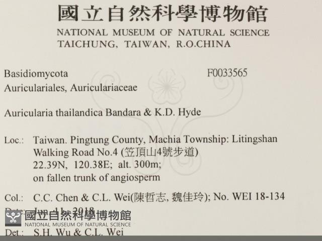 登錄號:F0033565藏品圖，第2張