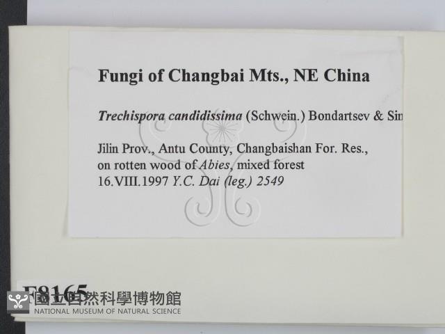 Accession Number:F0008165 Collection Image, Figure 2, Total 2 Figures