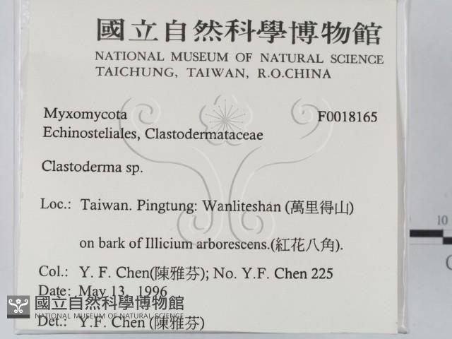 登錄號:F0018165藏品圖，第2張