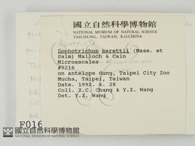 登錄號:F0000165藏品圖，第2張