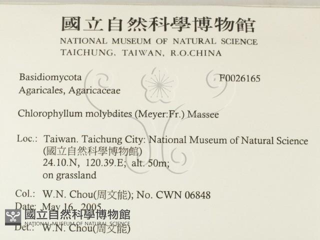 登錄號:F0026165藏品圖，第2張