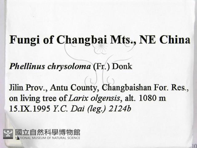 登錄號:F0006165藏品圖，第2張