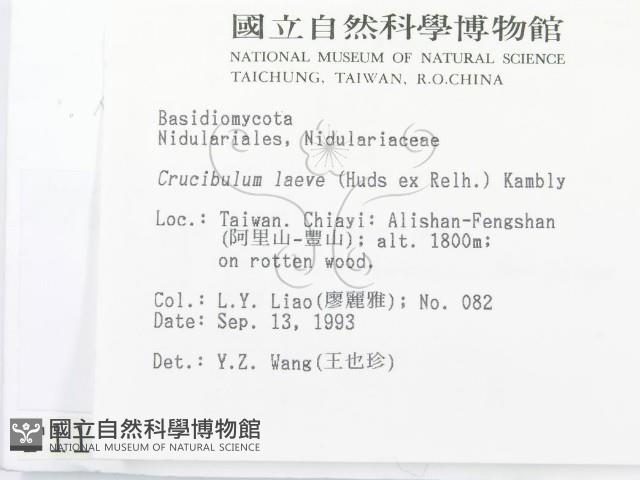 登錄號:F0001165藏品圖，第2張