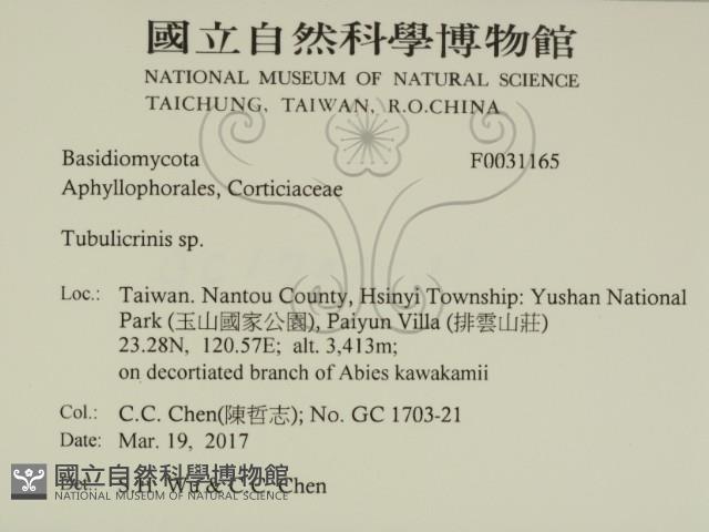 登錄號:F0031165藏品圖，第2張