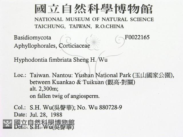 登錄號:F0022165藏品圖，第2張