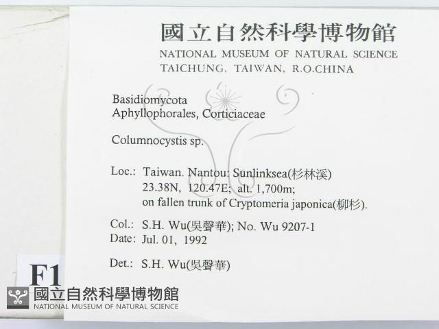 登錄號:F0015165藏品圖，第2張
