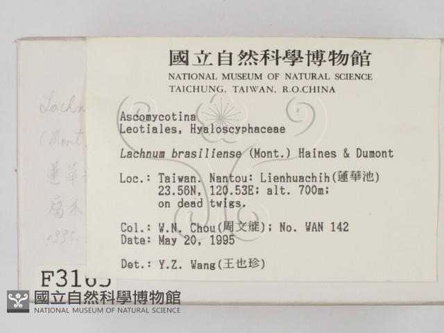 登錄號:F0003165藏品圖，第2張