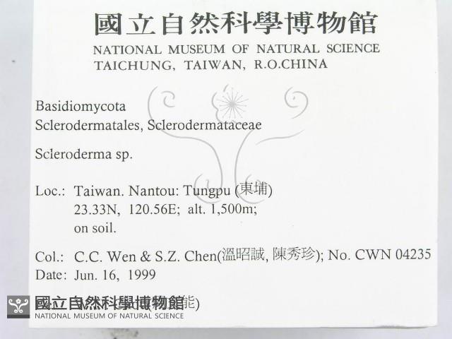 登錄號:F0013165藏品圖，第2張