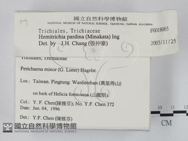 登錄號:F0018065藏品圖，第2張