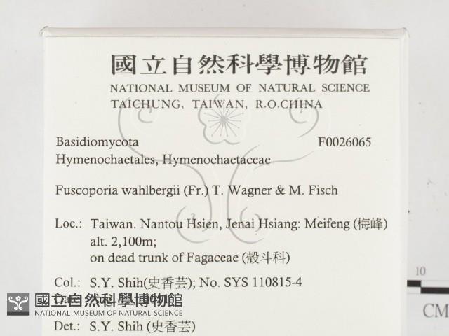 登錄號:F0026065藏品圖，第2張
