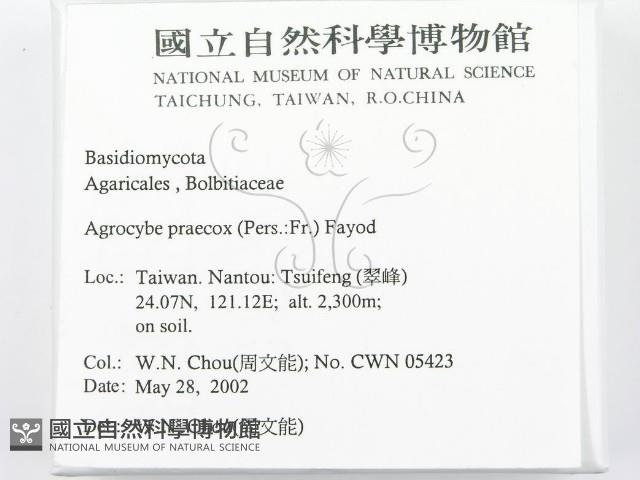 登錄號:F0016065藏品圖，第2張