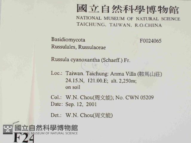 登錄號:F0024065藏品圖，第2張