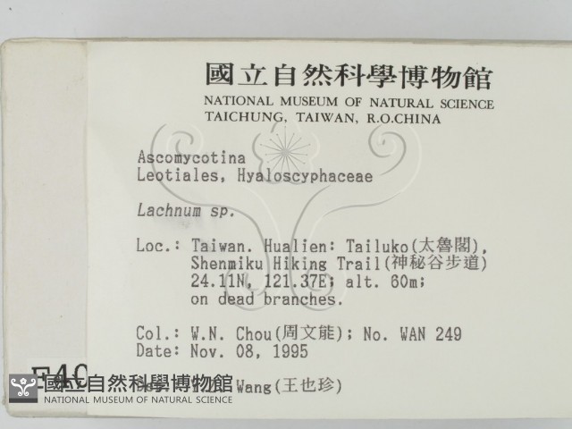 登錄號:F0004065藏品圖，第2張