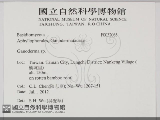 登錄號:F0032065藏品圖，第2張