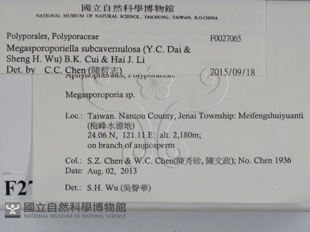 登錄號:F0027065藏品圖，第2張