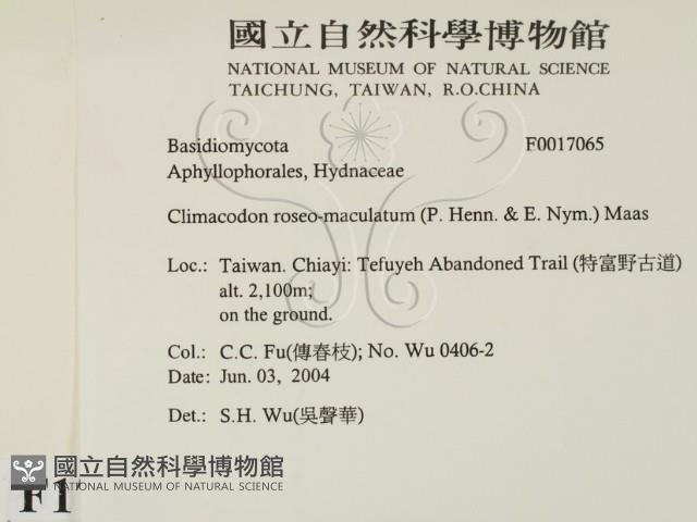 登錄號:F0017065藏品圖，第2張
