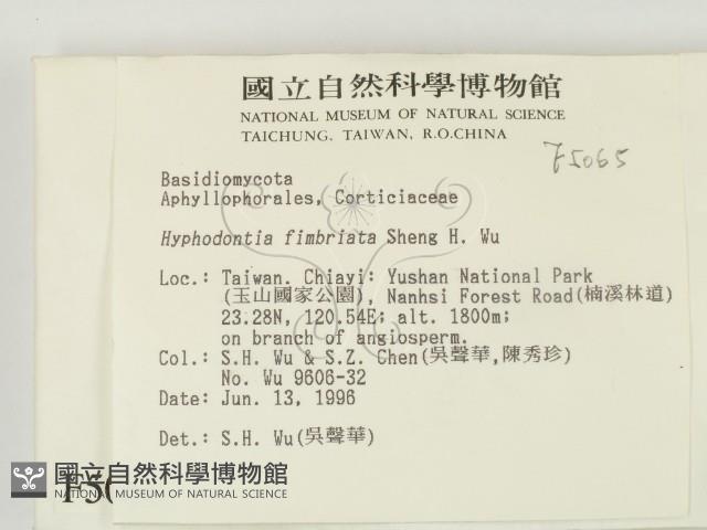 登錄號:F0005065藏品圖，第2張